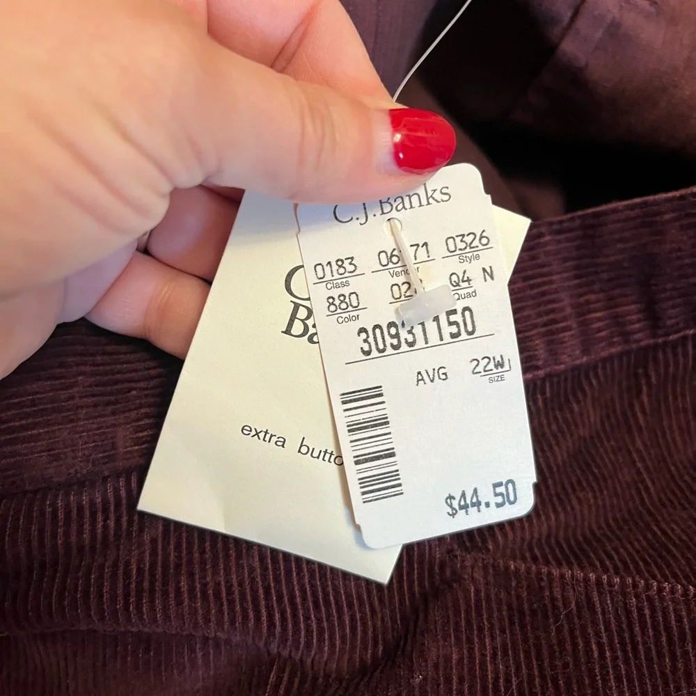 NWT CJ Banks corduroy skirt with embroidered detail 100% cotton
